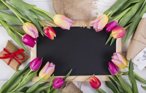 Picture flowers, colorful, tulips, flowers, tulips, spring