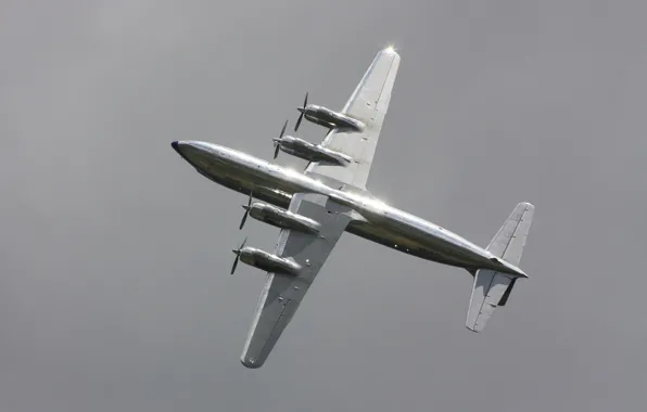 Picture the plane, passenger, Douglas, DC-6B