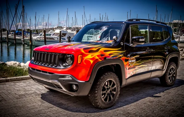 Picture jeep, Jeep, Renegade, renegade