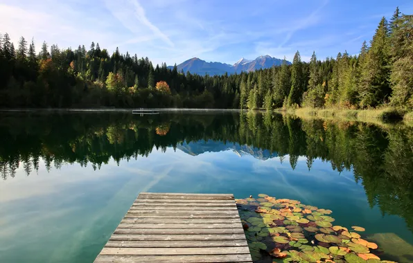 Picture forest, landscape, nature, lake, reflection