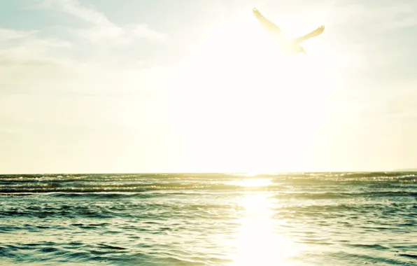 Sea, wave, water, the sun, rays, landscape, nature, river