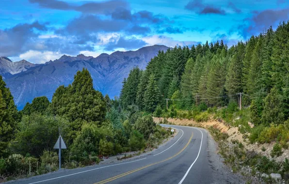 Picture road, forest, mountains, nature, Argentina