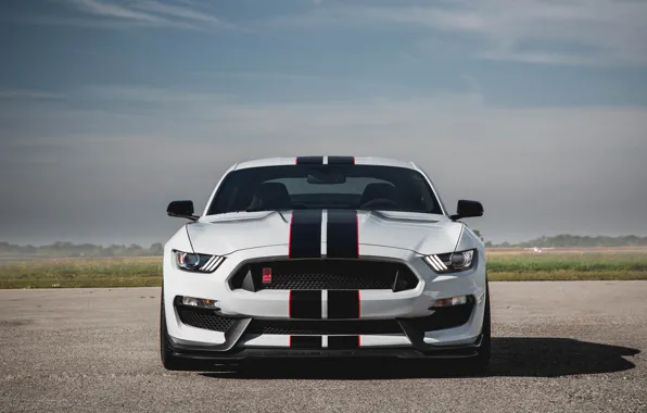 Picture Mustang, Ford, Shelby, GT350R, 2016