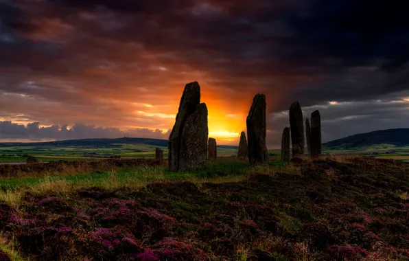 Field, the sky, sunset, flowers, clouds, old, stones, hills