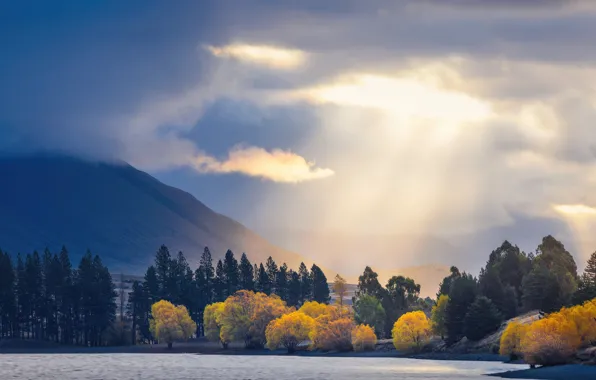 Picture sky, trees, landscape, nature, lake