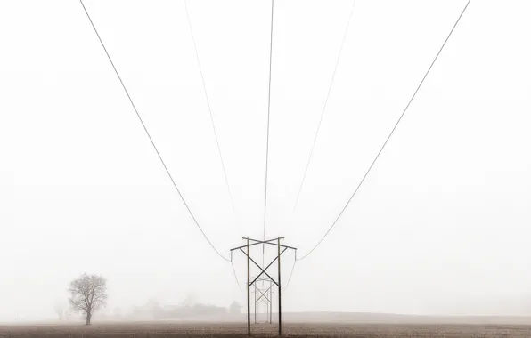 Picture field, farm, foggy, power line