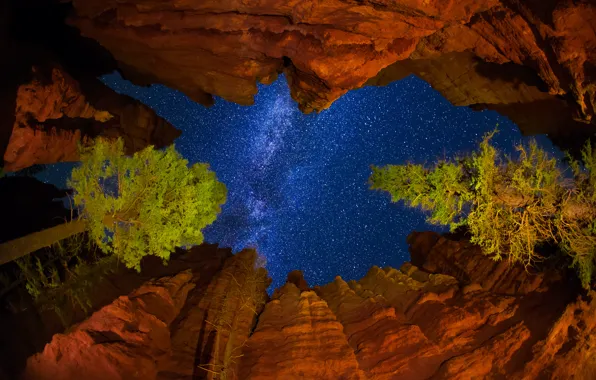 The sky, stars, trees, night, rocks, USA, the milky way, Utah