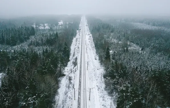 Winter, forest, nature, railroad