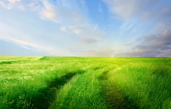 Road, greens, field, the sky, grass, clouds, nature, horizon