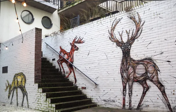 Picture city, the city, graffiti, deer, graffiti, deer, street art, brick wall