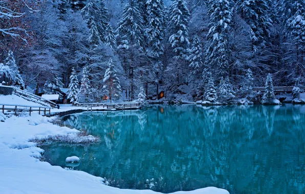 Winter, forest, lake, Switzerland, Switzerland, Bernese Oberland, Kandersteg Valley, the valley of the river Kander
