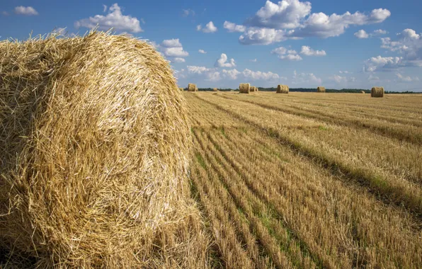 The sky, clouds, straw, bales of hay