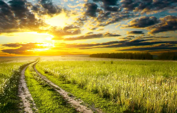 Picture road, field, the sky, grass, the sun, clouds, track