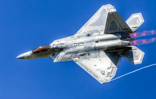 The sky, the plane, flies