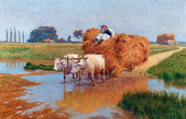 Picture, Wagon, Hay, Male, Bulls, Austrian artist, Hay harvesting, Stefan Simoni