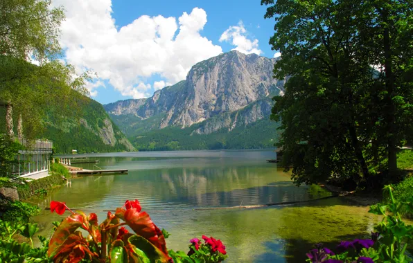 Forest, summer, the sun, clouds, trees, flowers, mountains, lake