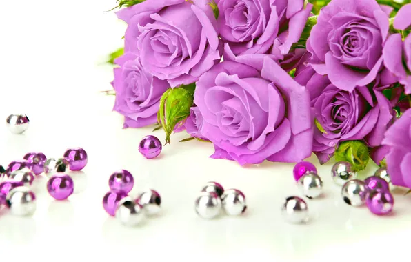 Picture flowers, roses, purple, beads, buds