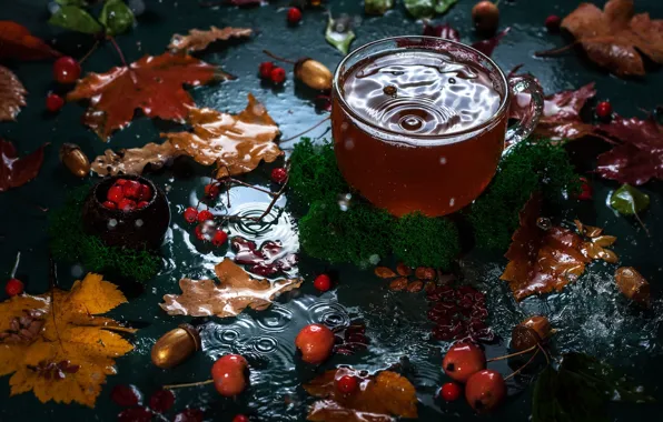 Picture autumn, leaves, water, berries, tea, moss, Cup, bokeh