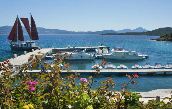 Sea, coast, Marina, sailboat, Bay, boats, Italy, Sardinia