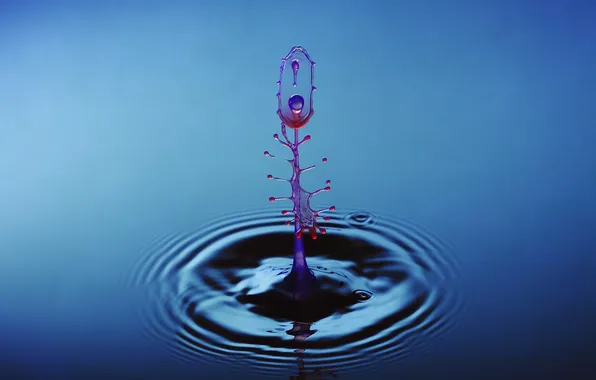 Picture water, drop, collision