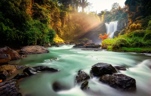 Picture forest, the sun, trees, stream, stones, waterfall, Indonesia, Tegenungan