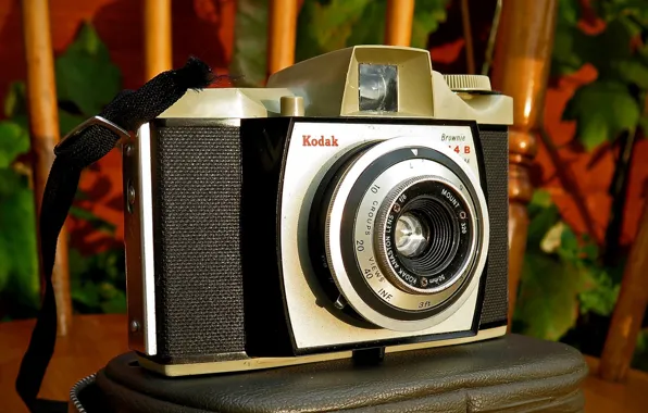 Background, camera, Kodak 44B