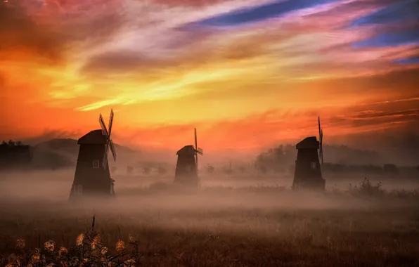 Picture field, grass, clouds, landscape, nature, fog, dawn, morning