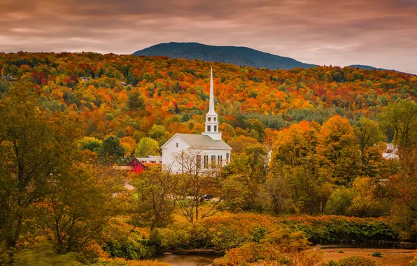 Autumn, forest, trees, mountains, Church, house, settlement, Golden autumn