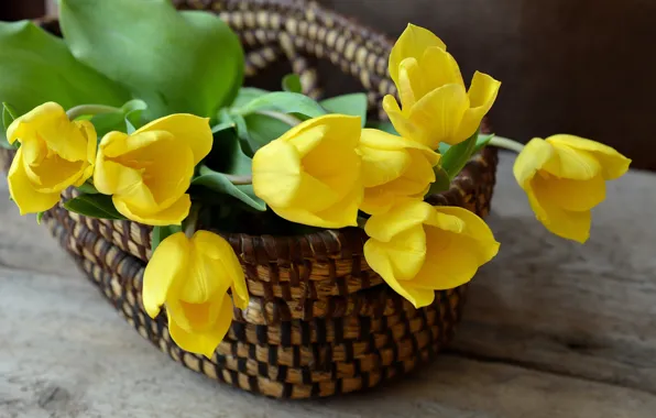 Picture flowers, yellow, bouquet, tulips, basket