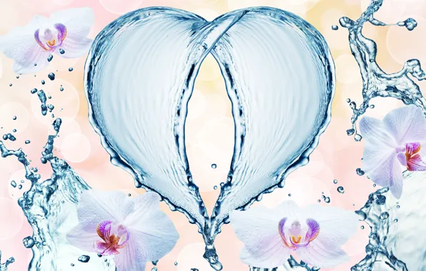 Water, drops, flowers, squirt, pattern, heart, orchids