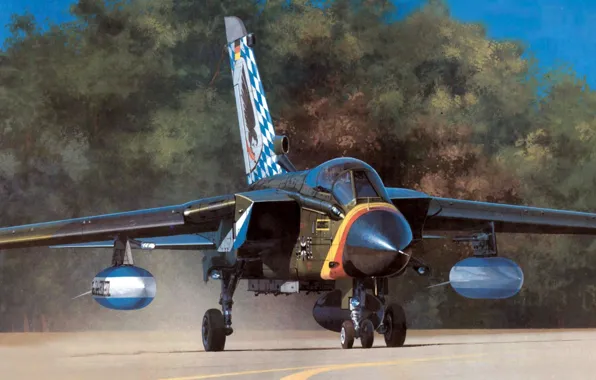 Figure, art, fighter-bomber, Panavia, Tornado, combat jet aircraft with variable sweep wing, IDS