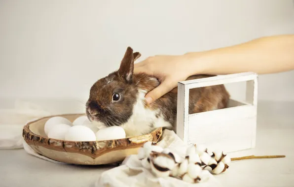 Table, holiday, hand, eggs, spring, rabbit, Easter, straw