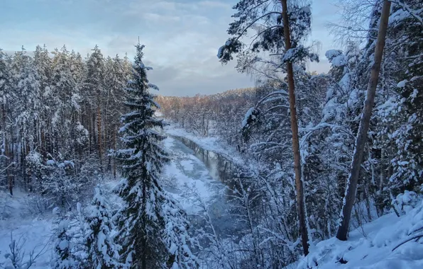 Winter, forest, snow, landscape, nature, river, Nerl