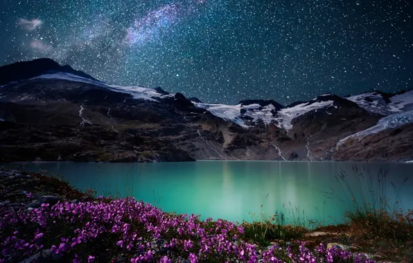 The sky, grass, stars, flowers, mountains, night, lake, stones