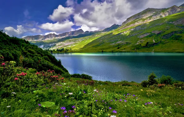 Clouds, landscape, flowers, mountains, nature, lake, Switzerland, meadows
