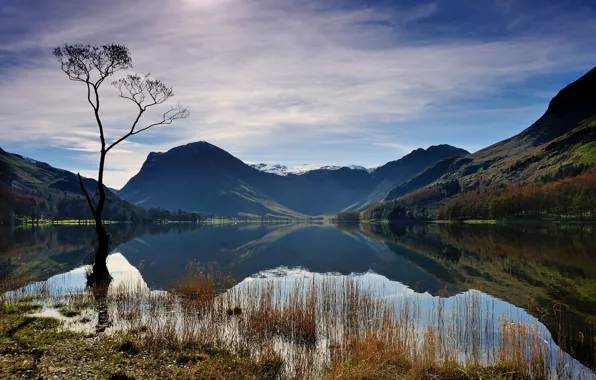 Picture the sky, grass, clouds, trees, mountains, fog, lake, blue