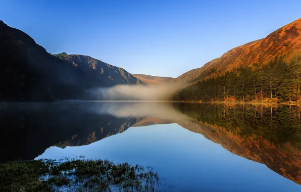 Picture the sky, trees, mountains, fog, lake, morning