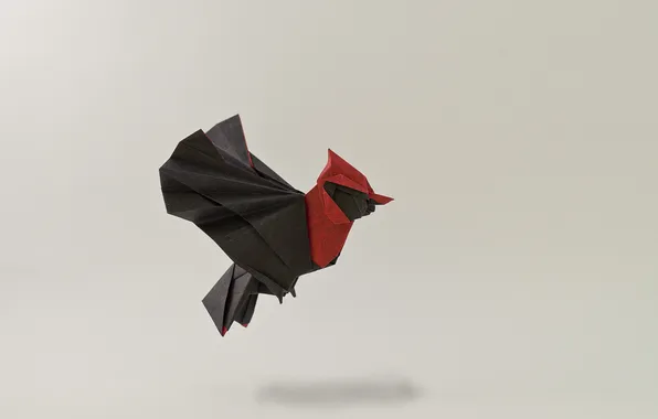 Flight, bird, wings, shadow, origami