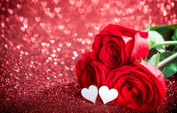 Love, flowers, holiday, roses, hearts, Valentine's day