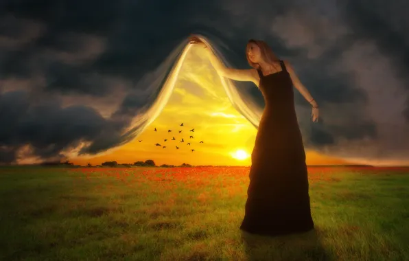 Picture field, the sky, sunset, birds, photoshop, curtain, girl art