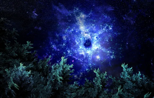 Forest, space, abstraction, space, fractal, forest, fractal
