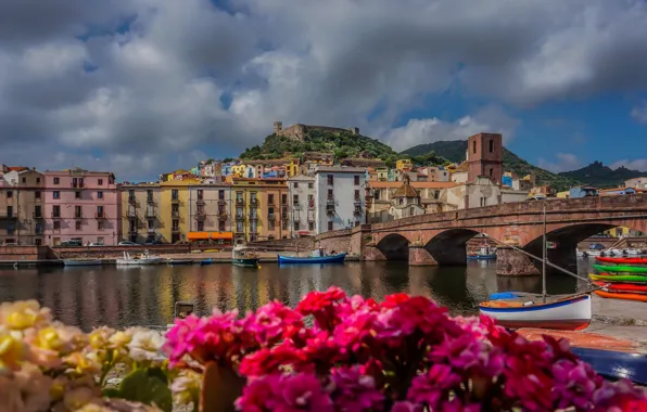 Picture clouds, landscape, flowers, mountains, bridge, nature, river, home