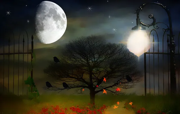 Picture night, style, background, the moon