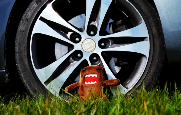 Summer, heat, Grass, Wheel, Accord 8, Domokun, Nanda
