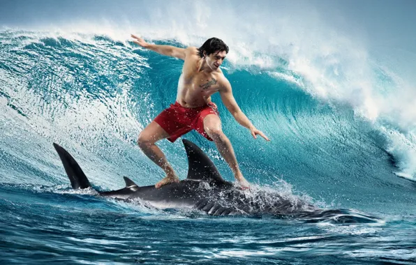 Wave, shark, guy, surfing, surfing