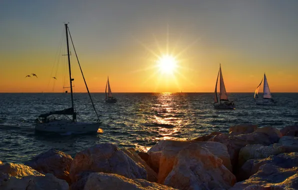 Picture sea, landscape, sunset, nature, boats, sailboats