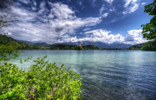 Picture greens, forest, clouds, trees, mountains, branches, lake, shore