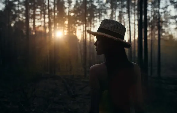 Forest, sunset, model, the evening, Vadim Mironov