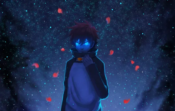 Picture the sky, stars, night, anime, petals, art, guy, Tink Of The Sensen