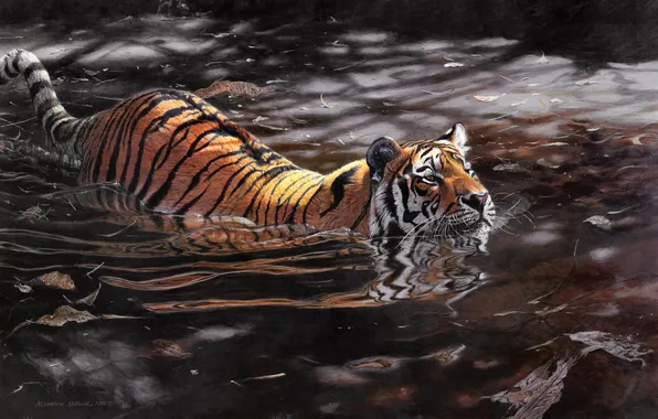 Picture water, tiger, art, Matthew Hillier